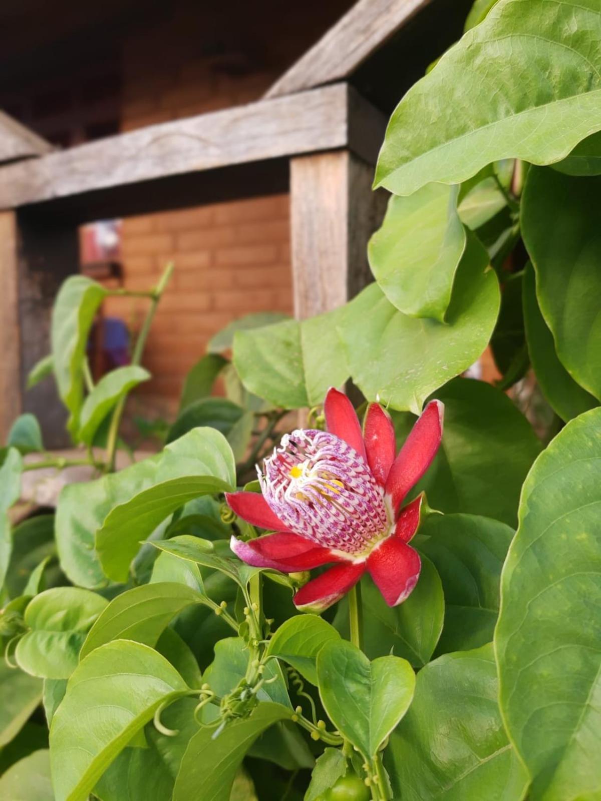 Huayapam Yu'U Lodge San Andrés Huayapan エクステリア 写真